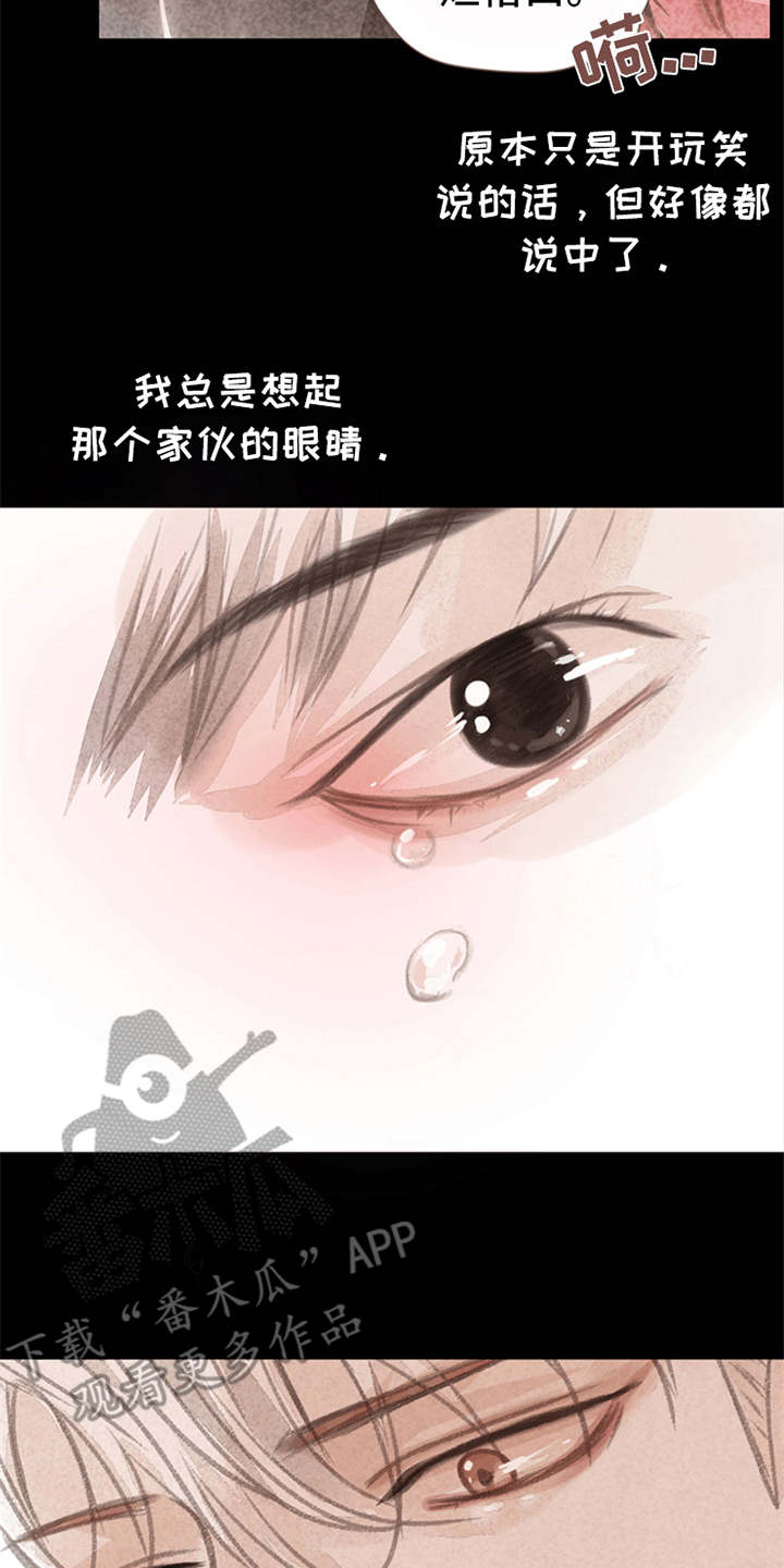 分心木的功效与作用漫画,第8章：表白2图