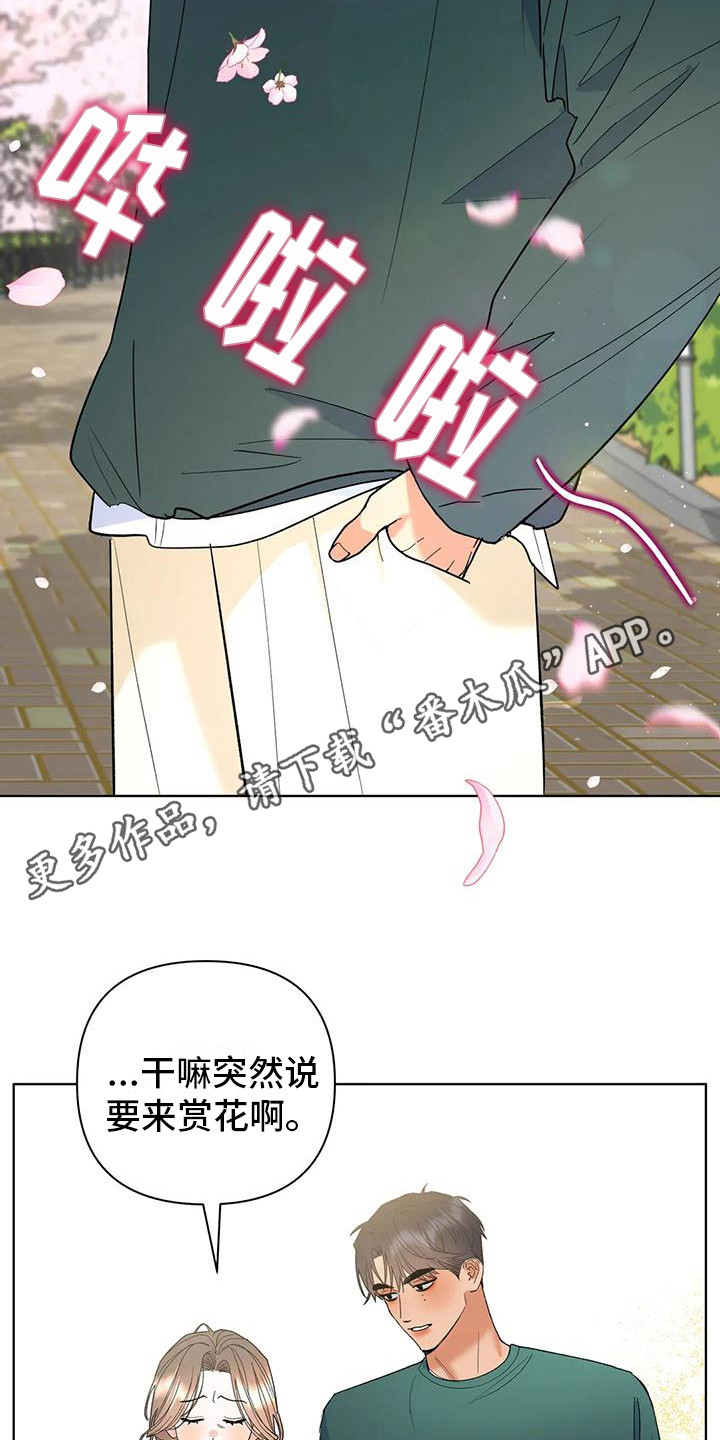 诗词相识燕归来 解光芒漫画,第11章：赏花1图