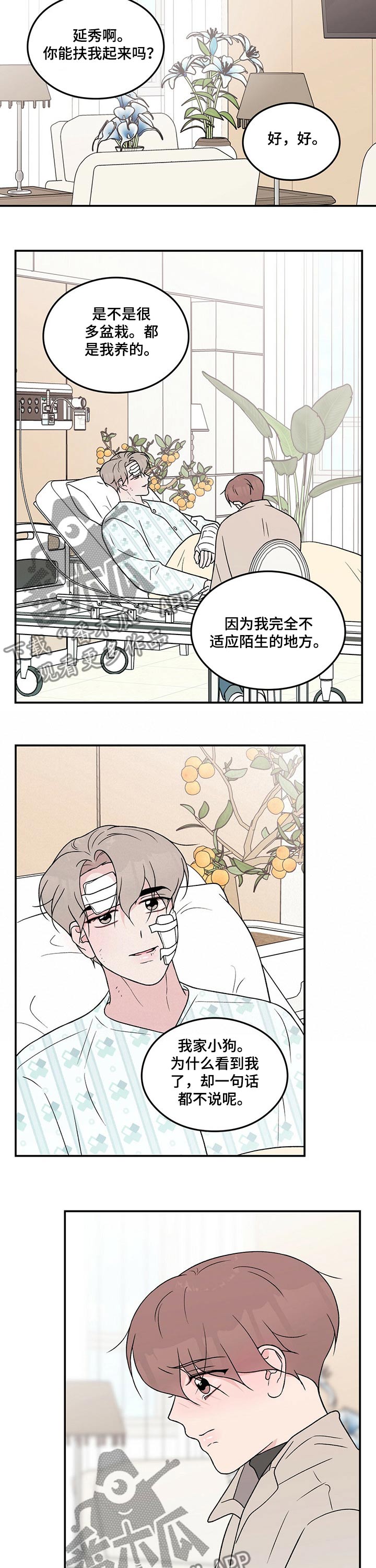 《恋情》小说漫画,第97章：【第二季】探病2图