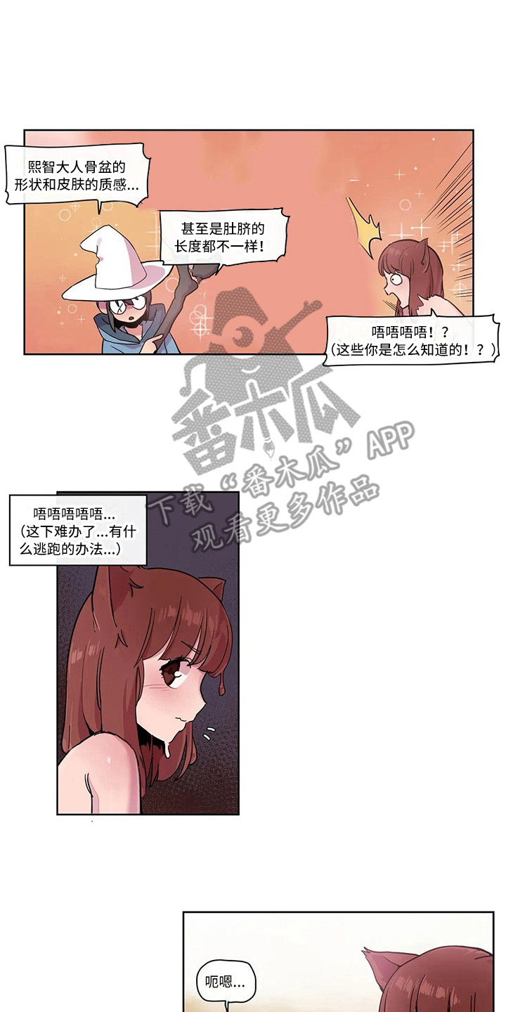 许愿神龙免费完整版国语漫画,第20章：反击2图