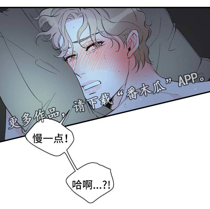 超能力职员漫画,第48章：床上继续1图
