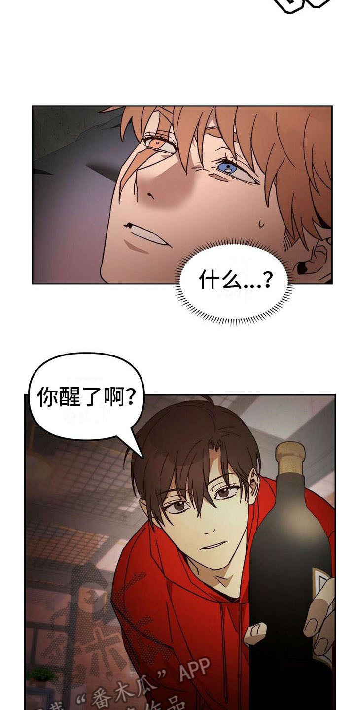 钻石神偷在线看漫画,第14章：请求2图