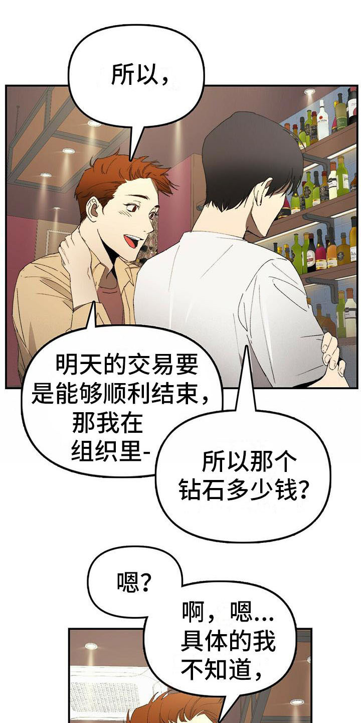 钻石神偷2在线观看高清免费观看漫画,第2章：条件1图