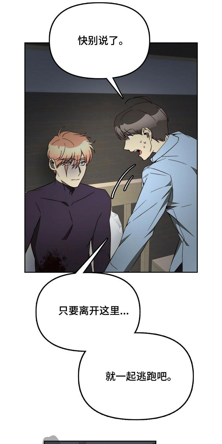 钻石生长纹放大图漫画,第39章：劝说2图