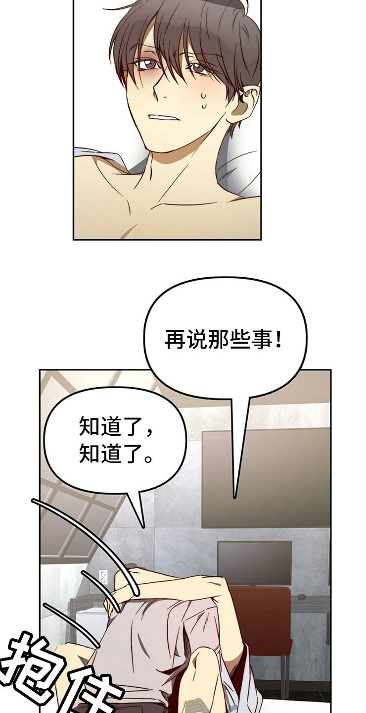 钻石神偷动漫推荐漫画,第29章：够了2图