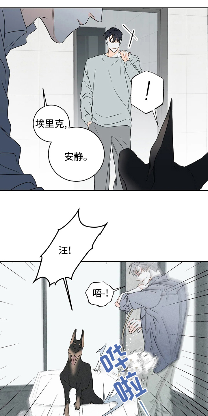 主宰者漫画,第55章：【第二季】火上浇油2图