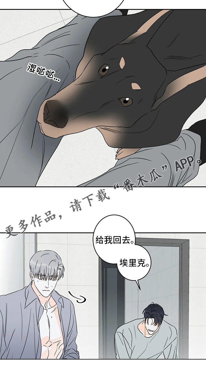 主宰者漫画,第55章：【第二季】火上浇油2图