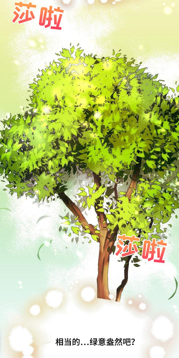 神级菜鸟漫画,第25章：最终攻击2图