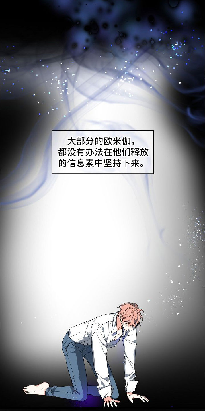 狩猎之夜完整版高清在线观看漫画,第1章：离婚2图