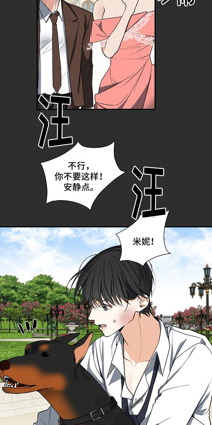 狩猎之夜电影免费看漫画,第6章：狩猎开始2图