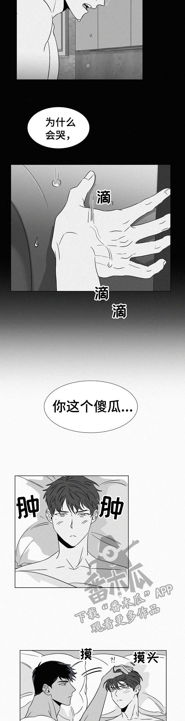 狂野美丽漫画,第38章：哭了1图