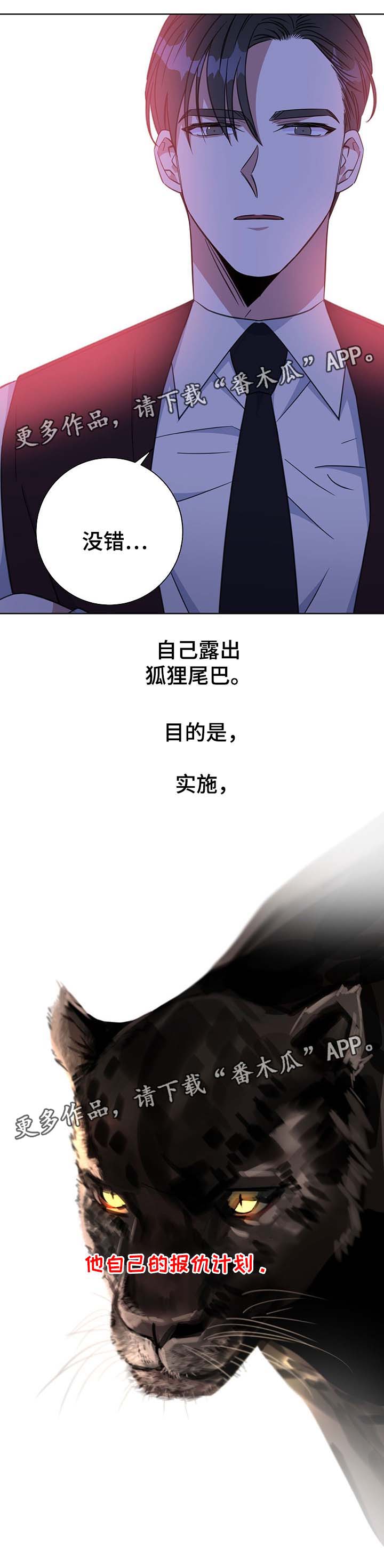 危险合作免费小说漫画,第77章：报仇计划1图