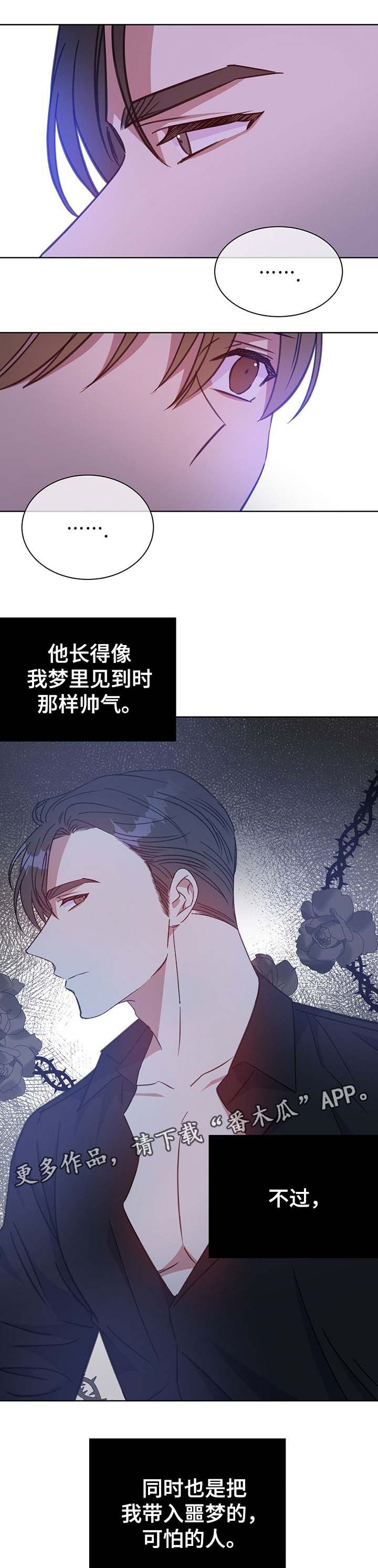 危险合作免费小说漫画,第77章：报仇计划1图