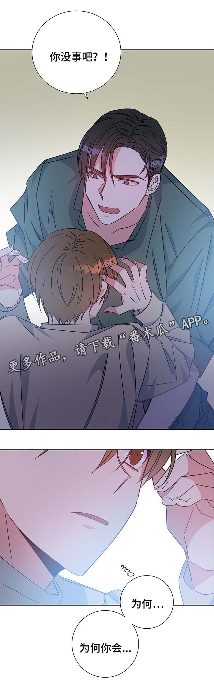 危险合作 非麻瓜漫画,第60章：叛徒1图