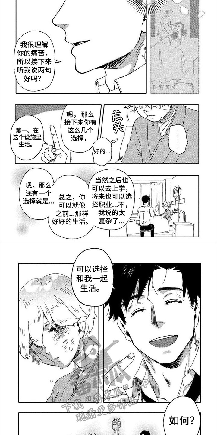 无花果树的栽培与管理漫画,第4章：选择2图