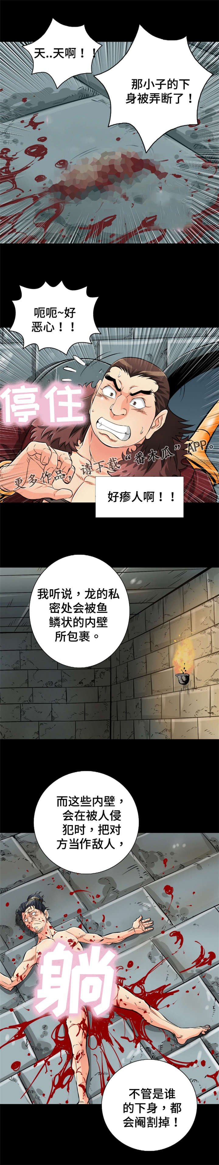 神龙决漫画,第61章：没尾巴的龙1图