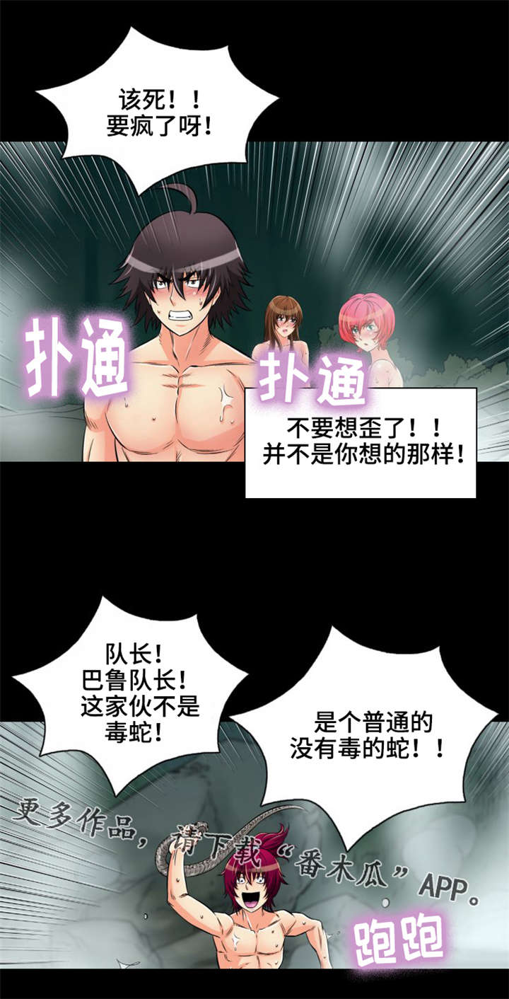 神龙抉择小说漫画,第13章：普通的蛇2图