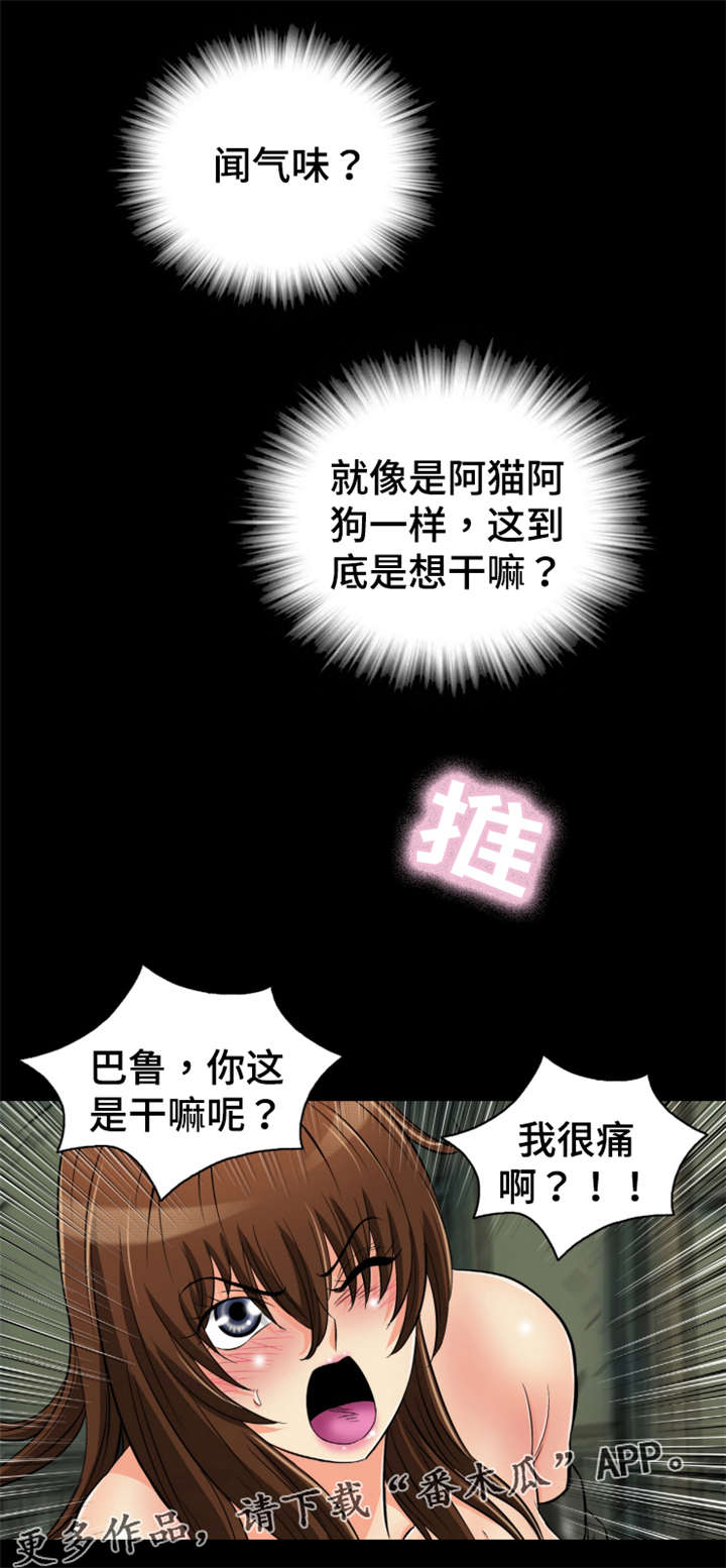 神龙选择器漫画,第70章：心上人1图