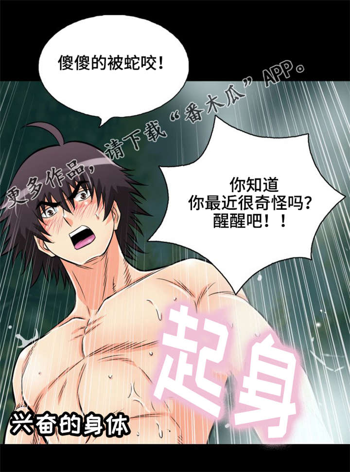 神龙选项漫画,第13章：普通的蛇2图