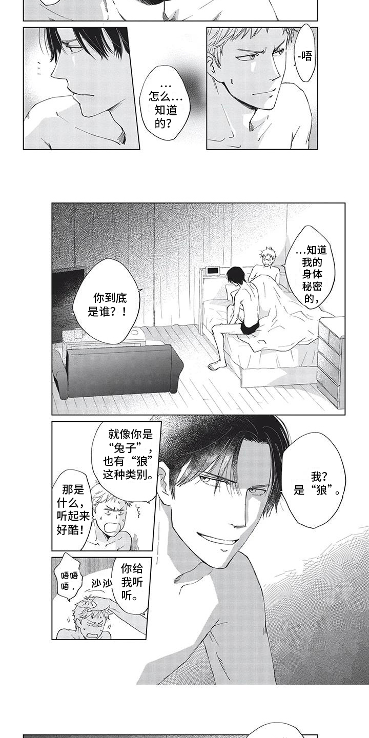 兔子先生在线观看漫画,第3章：解释1图