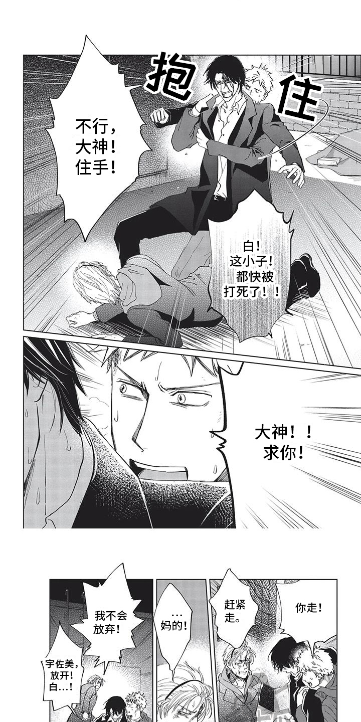 兔子先生网站免费漫画,第24章：揍人2图