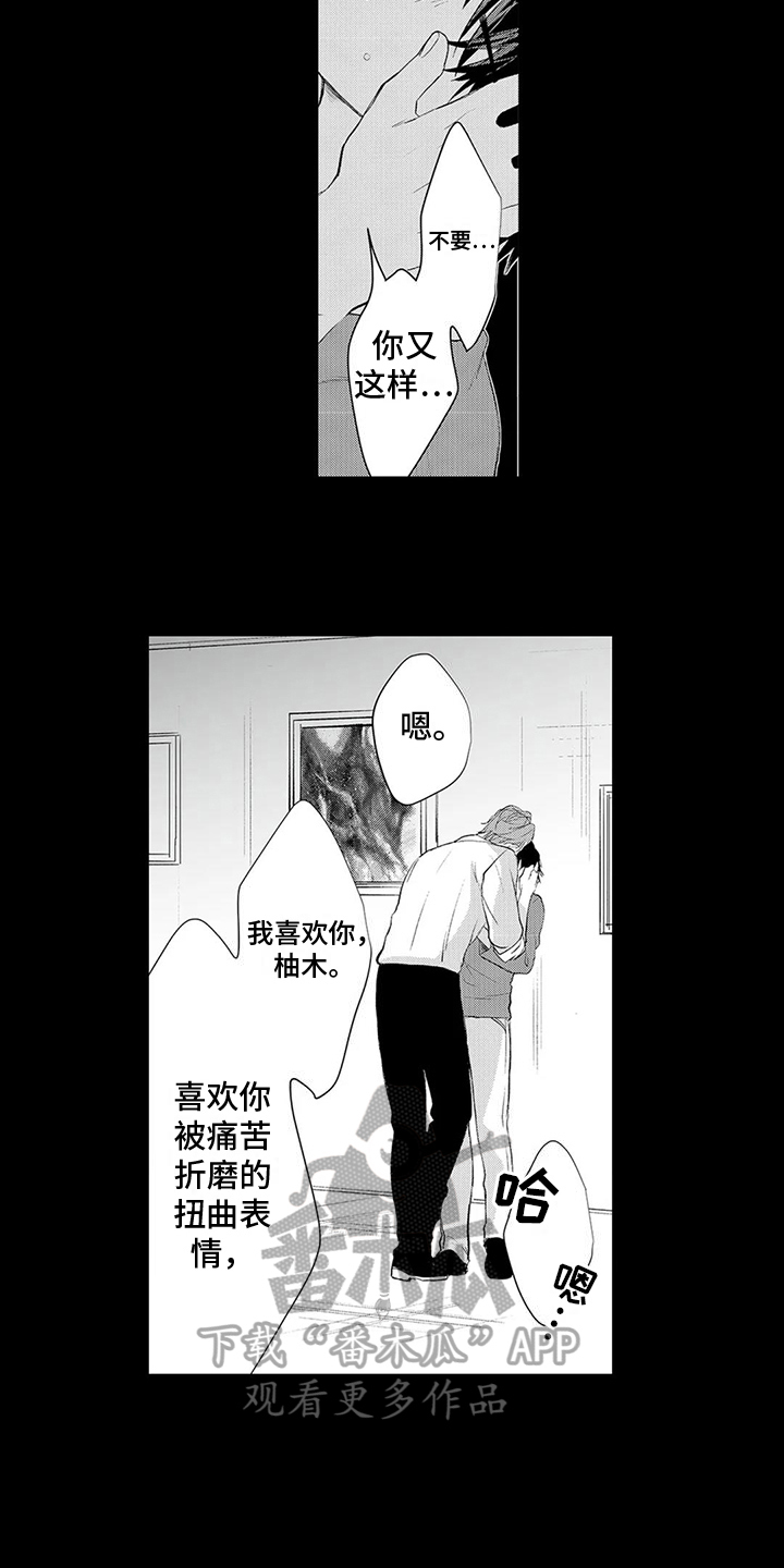 心灵丸36粒价格表漫画,第11章：背叛2图