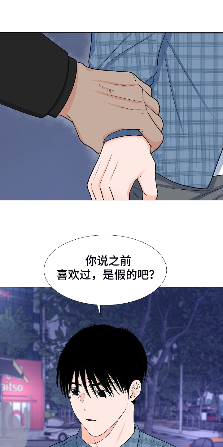 重要人物去世盖党旗与国旗的区别漫画,第36章：安静的走吧1图