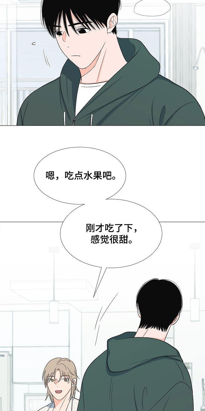 重要人物去世盖党旗与国旗的区别漫画,第33章：访客2图