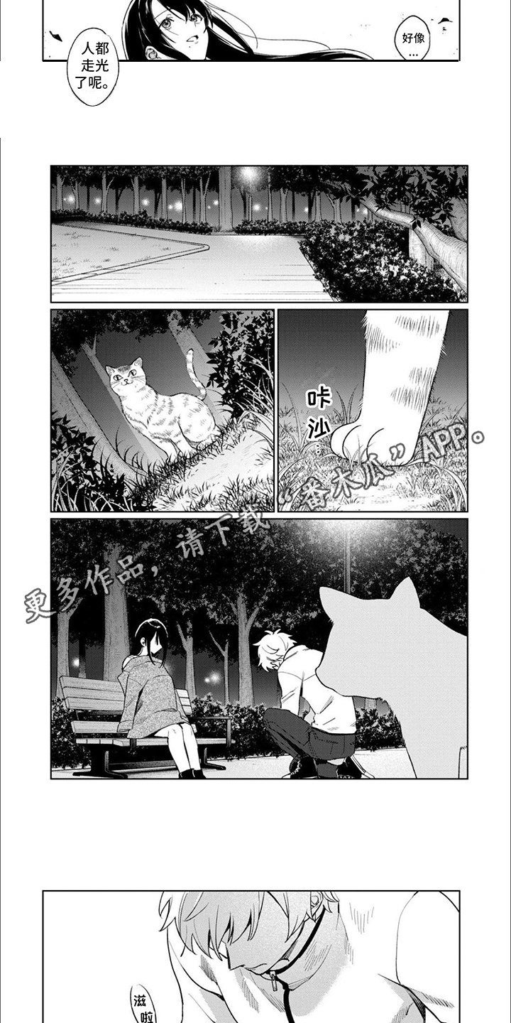 摄影风格漫画,第8章：拍摄2图