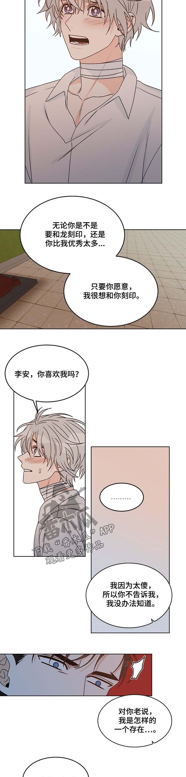 龙的刻印免费阅读漫画,第65章：互相喜欢1图