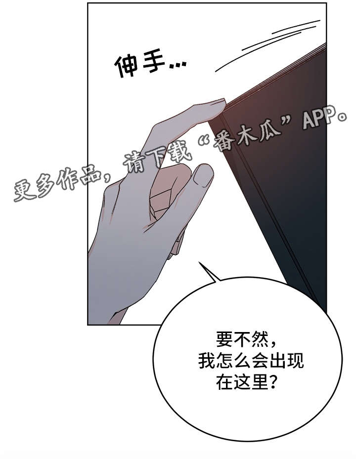 龙的刻印在哪儿看漫画,第37章：照顾2图