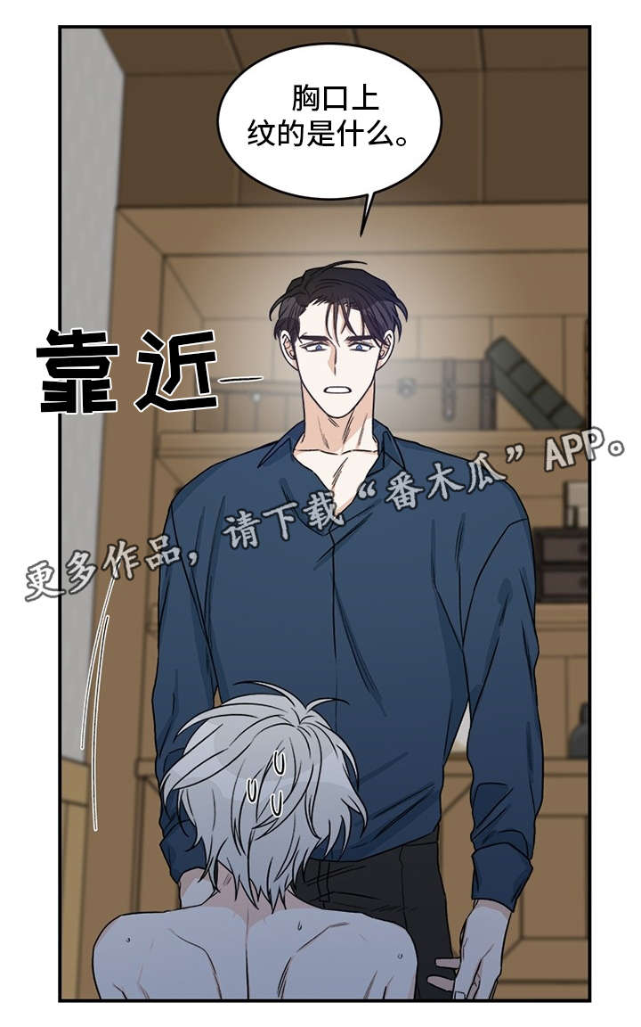 龙的画法漫画,第3章：龙2图