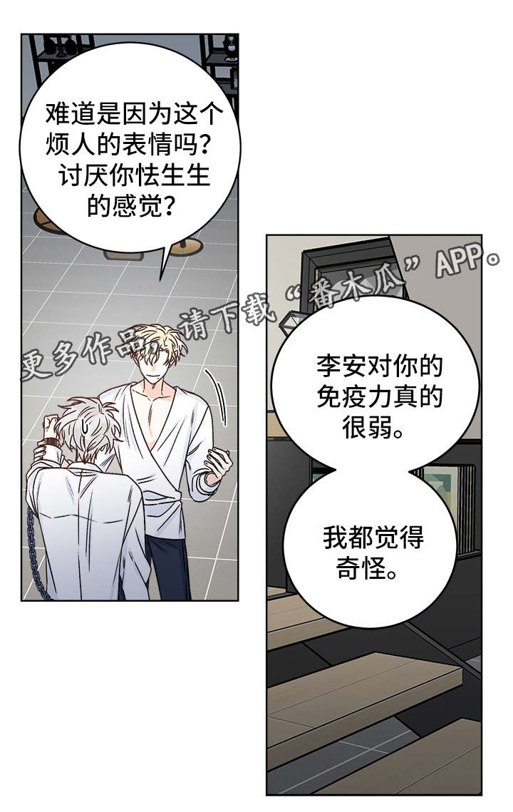 龙的刻印漫画,第38章：提防2图