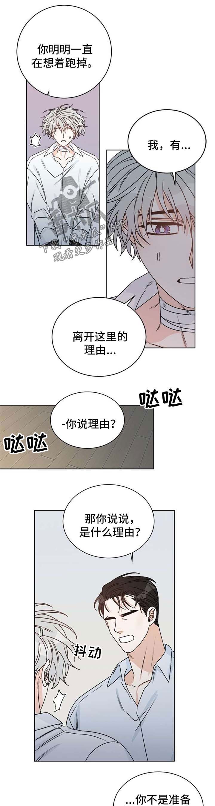 龙的刻印漫画全文漫画,第51章：可能会后悔的决定1图