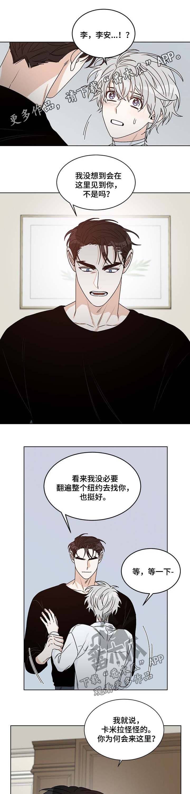 龙的图片大全漫画,第65章：互相喜欢1图