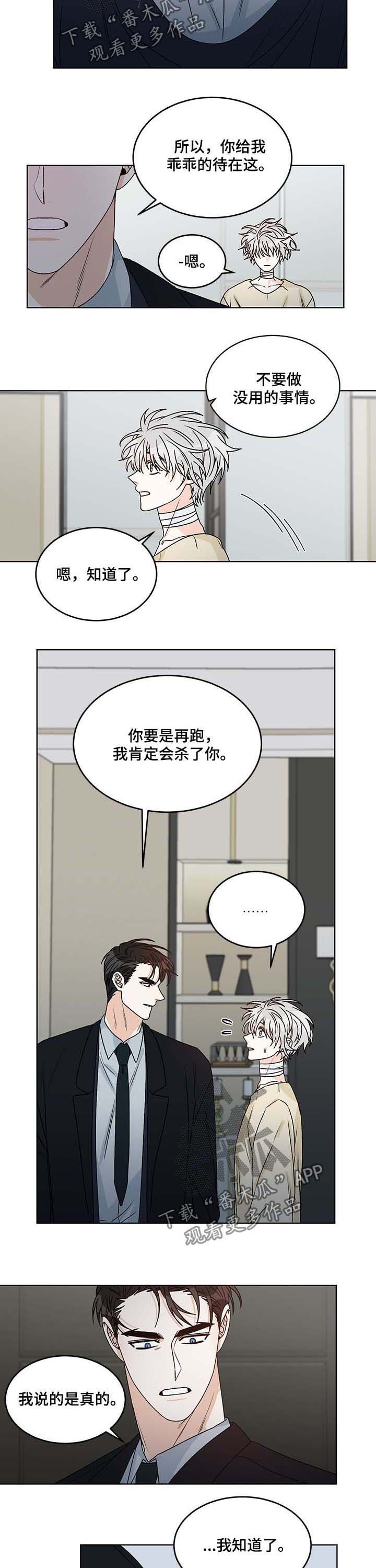 龙的刻印漫画全文漫画,第63章：合力2图