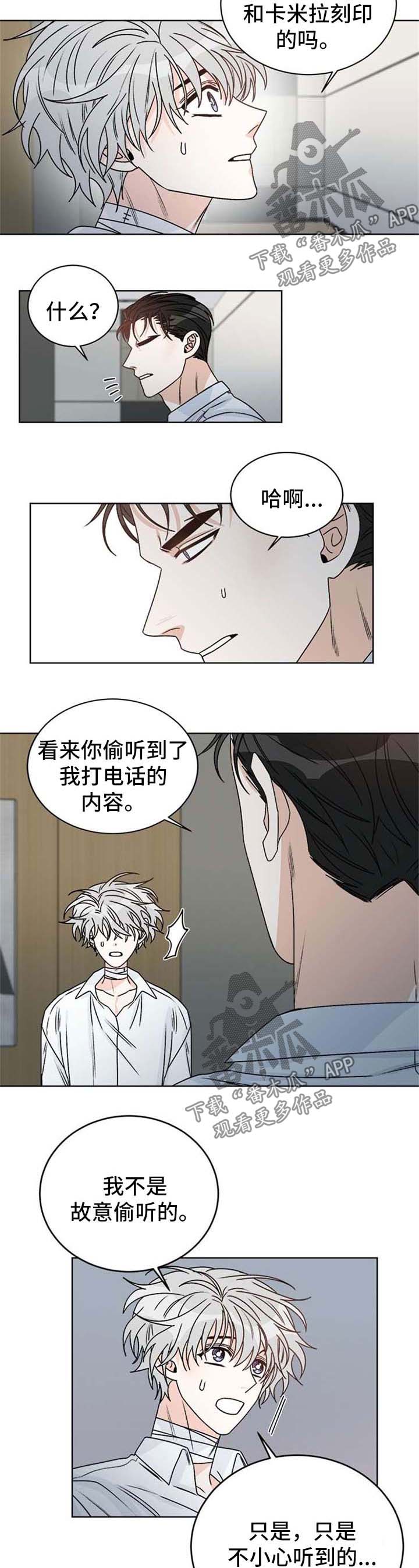 龙的刻印漫画全文漫画,第51章：可能会后悔的决定2图