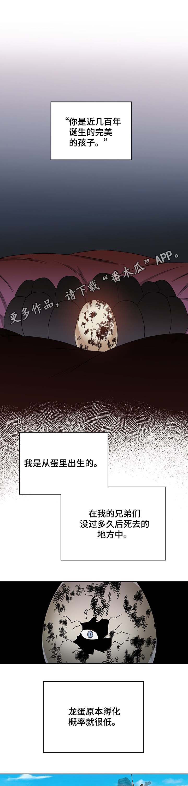 深空之眼龙切刻印怎么选漫画,第54章：没有意义的家庭1图