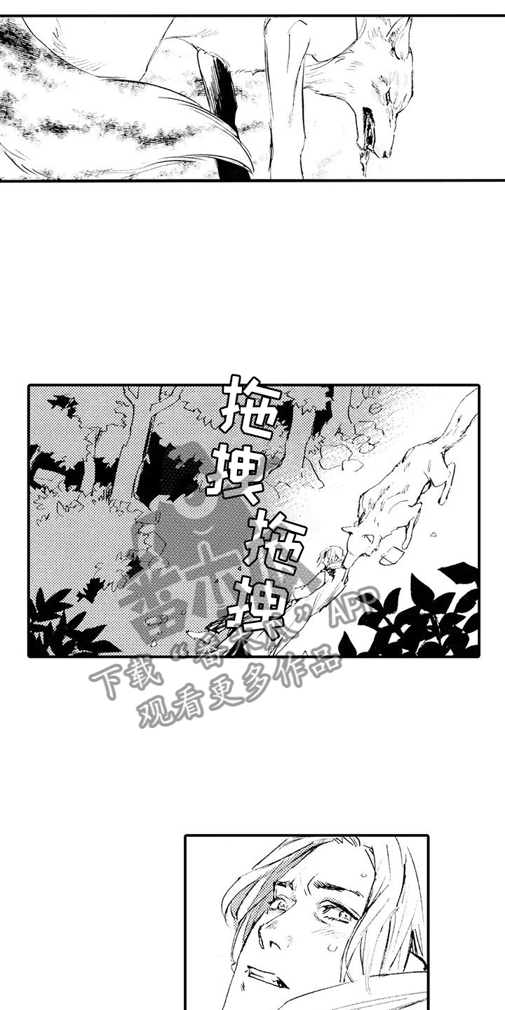 狼人在线观看免费收看漫画,第13章：他说谎了2图