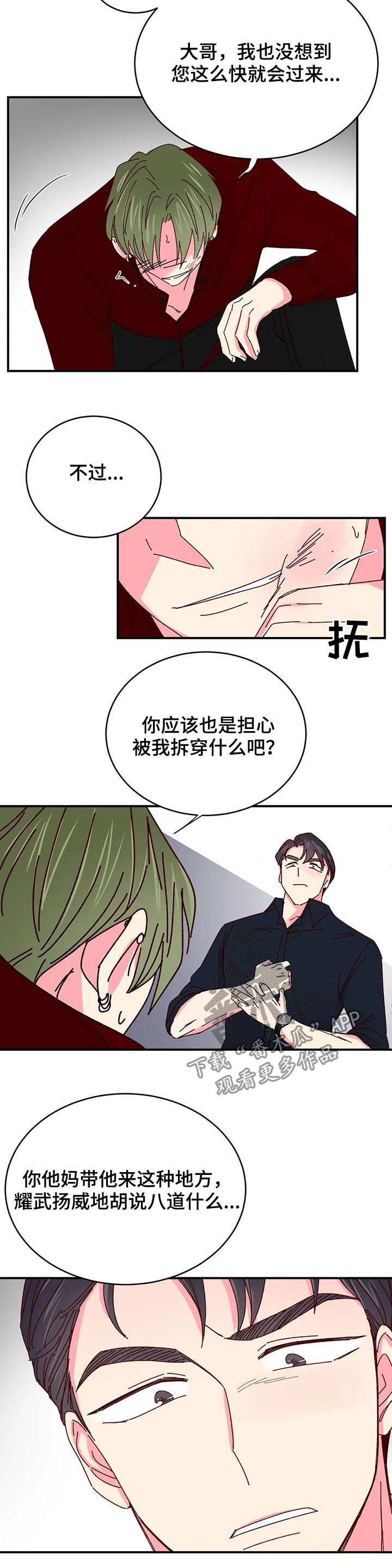 奶油蛋糕漫画,第71章：大哥驾到2图