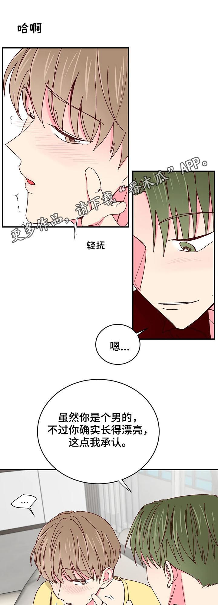 奶油蛋糕漫画,第71章：大哥驾到1图