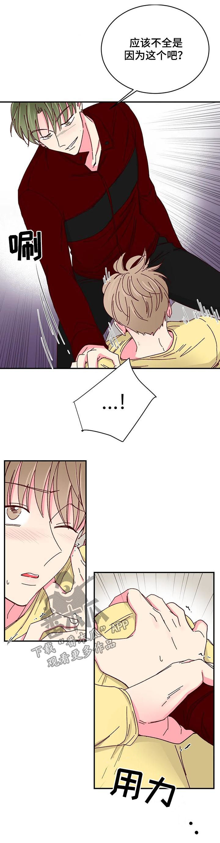 奶油蛋糕漫画,第71章：大哥驾到1图