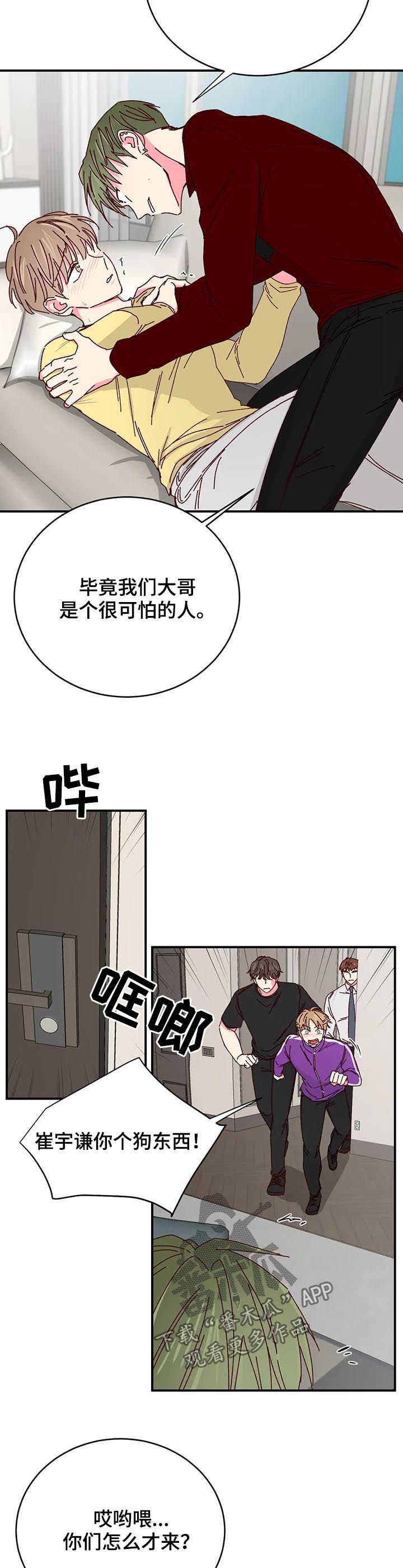 奶油蛋糕漫画,第71章：大哥驾到2图