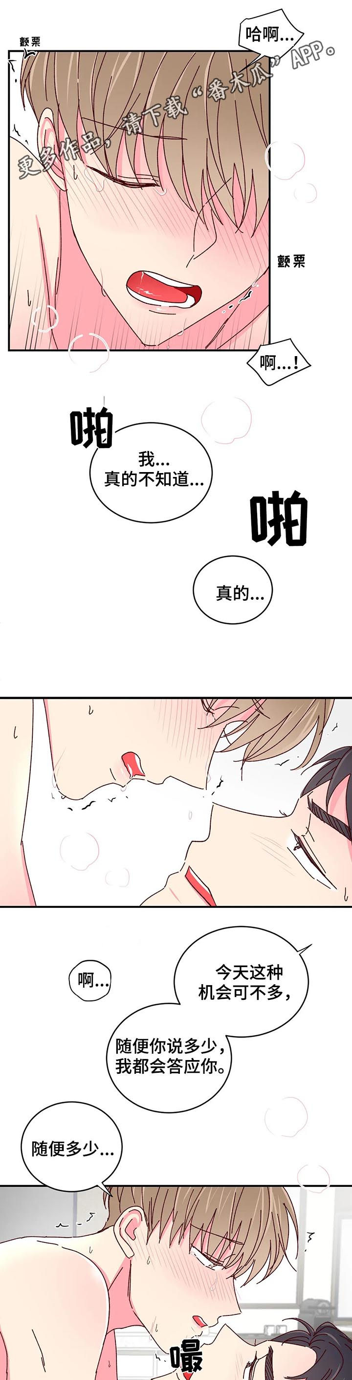 奶油蛋糕漫画,第37章：贷款还清1图