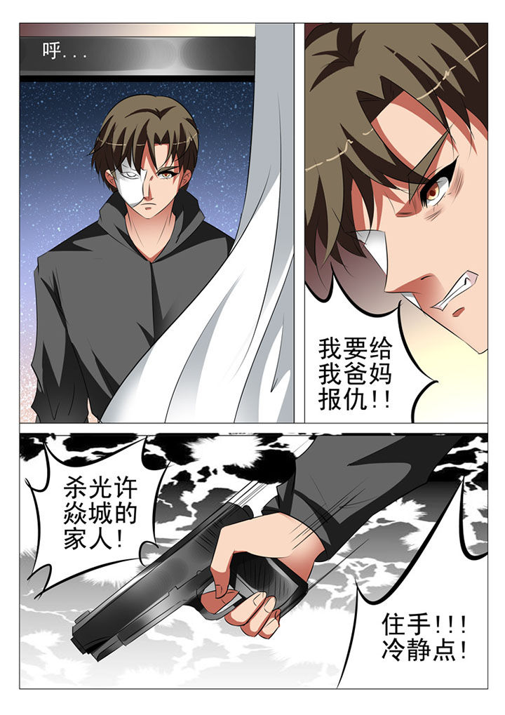 豪门刺客漫画小说叫什么漫画,第90章：2图