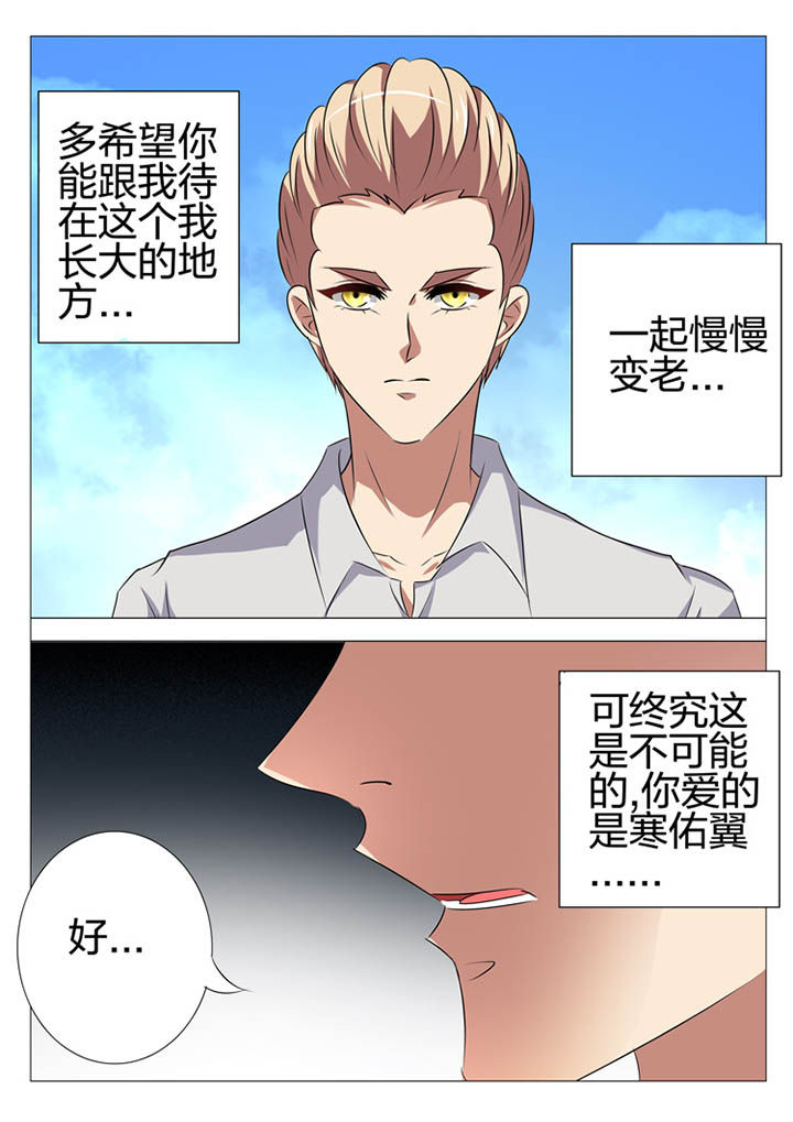 豪门刺客漫画小说叫什么漫画,第167章：1图