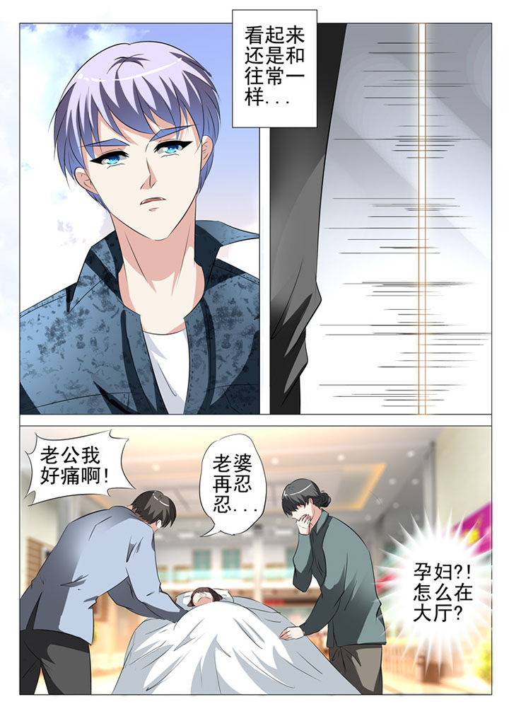 名媛刺客漫画,第75章：1图