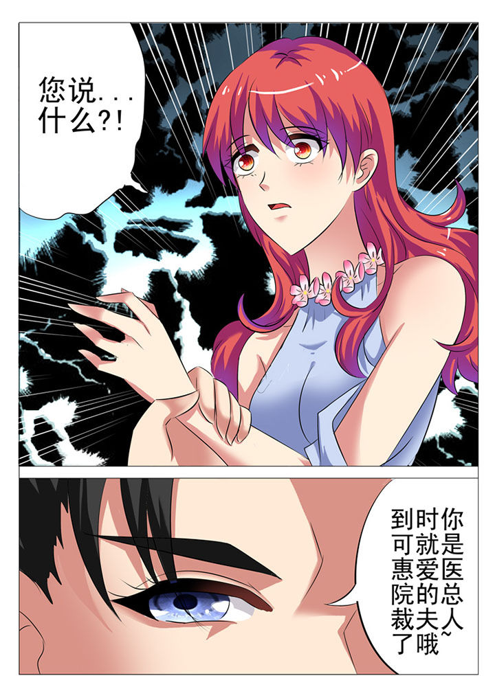 豪门刺客小说漫画,第9章：2图