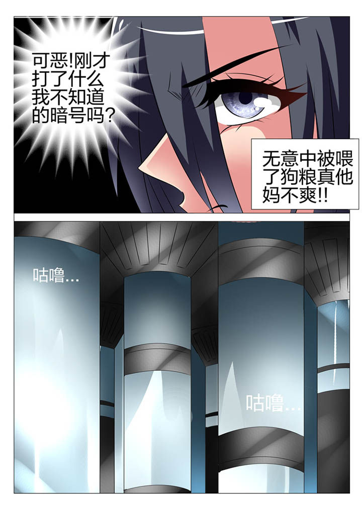 豪门刺客漫画漫画,第148章：2图