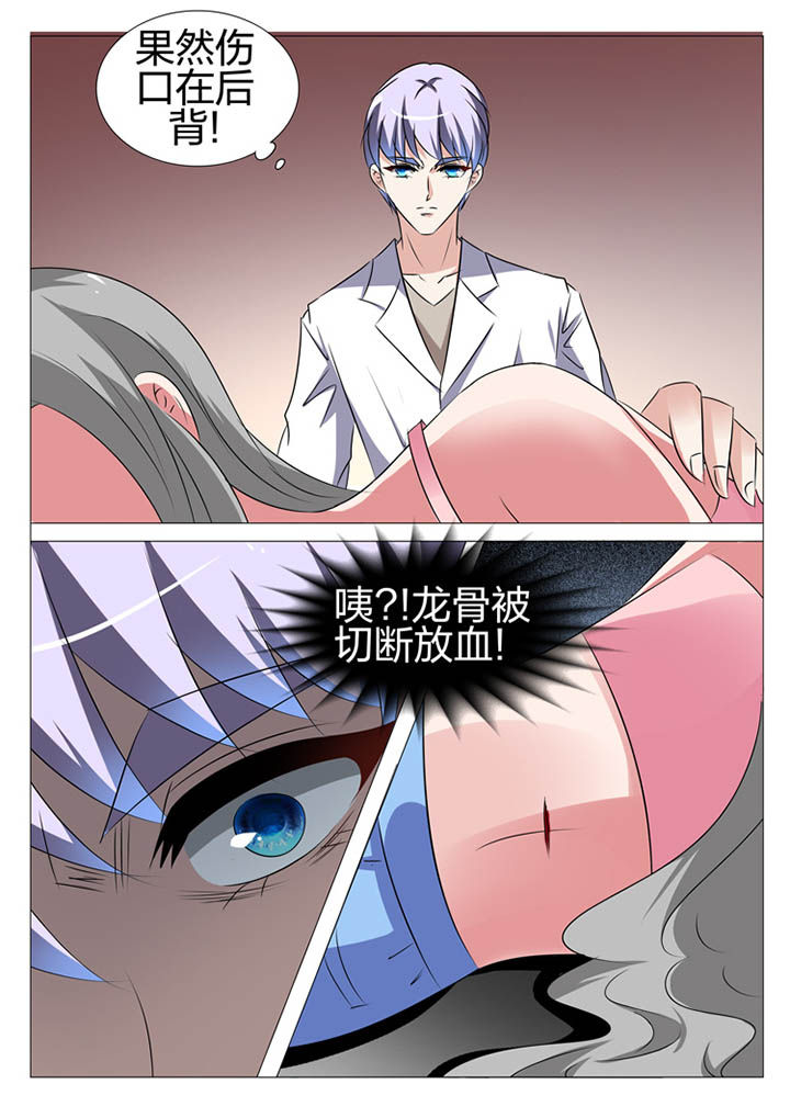 豪门刺客漫画免费漫画,第159章：2图